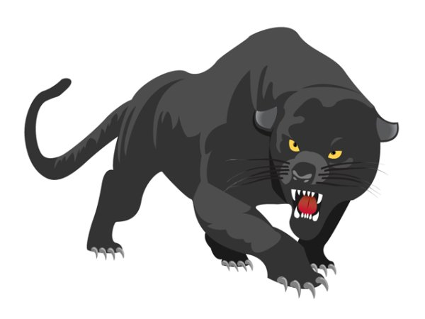 Мультяшные пантеры