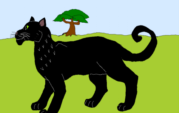 Про пантеру для детей