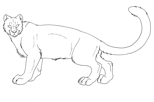 Пантера картинки раскраски