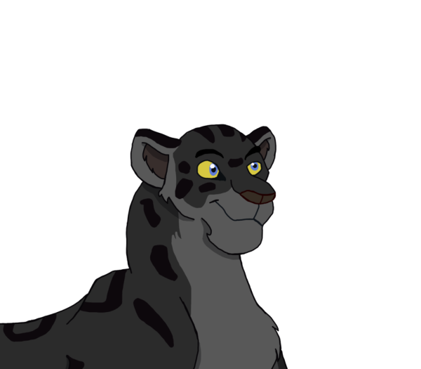 Пума раскраска для детей