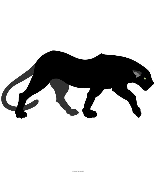 Кот картинка для детей на прозрачном фоне