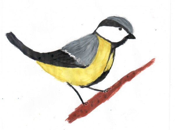 Рисование синицы