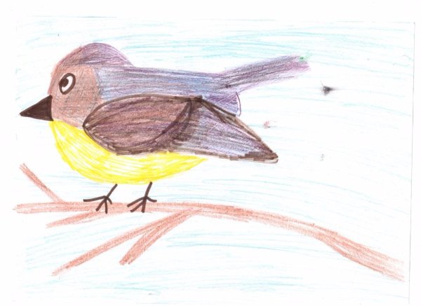 Детские рисунки синички