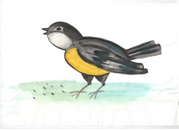 Мультяшная синичка вид спереди