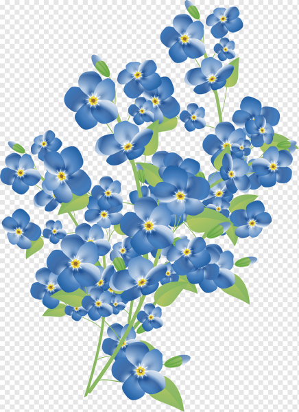 Незабудка мелкоцветковая