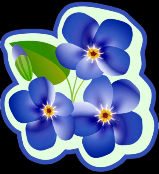 Оформление группы цветочки