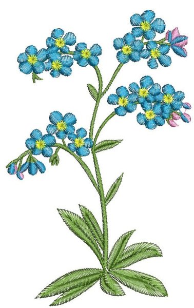 Незабудка для дошкольников