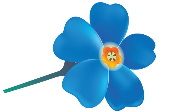 Незабудка для детей