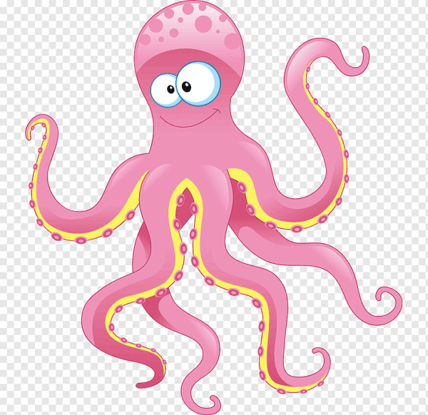 Bambibrat Octopus