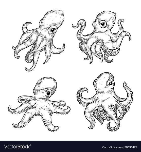 Эскиз осьминог мультяшный