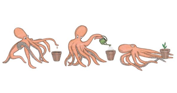 Головоногие моллюски нервная система