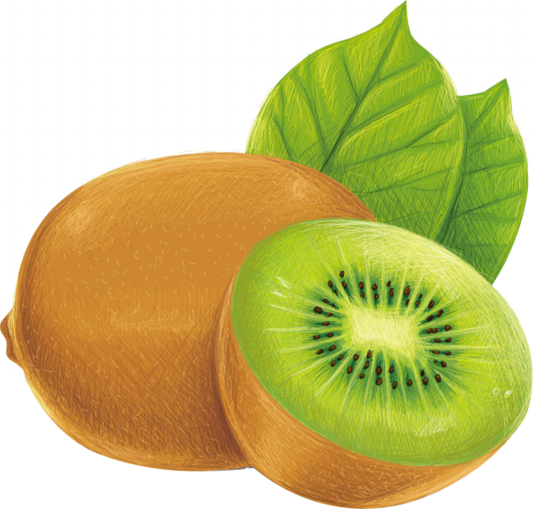 Нарисовать киви