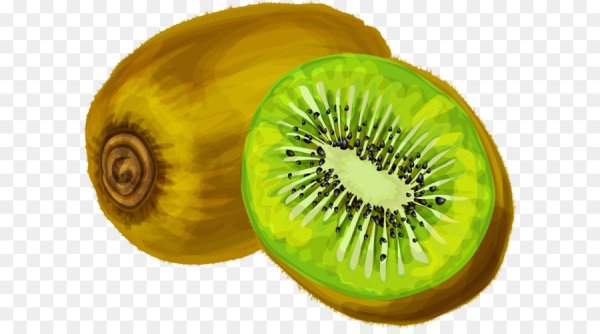 Нарисовать киви