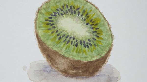 Киви красками акварель
