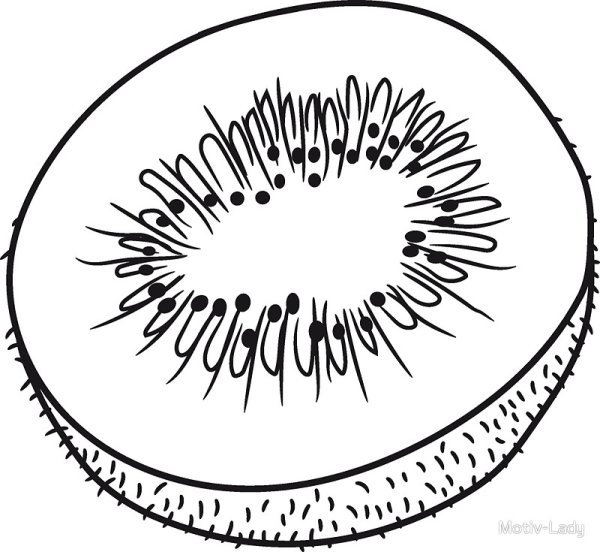 Раскраска киви фрукт