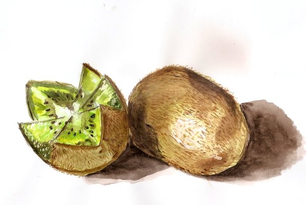 Киви акварелью