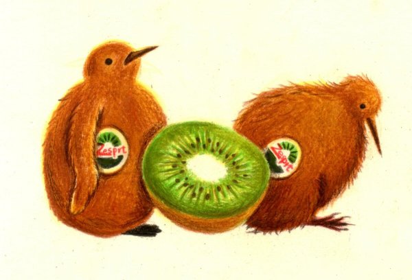 Киви птица фрукт