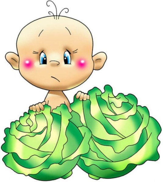 Малыш в капусте