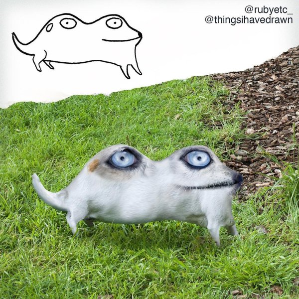 Животные нарисованные детьми в реальной жизни