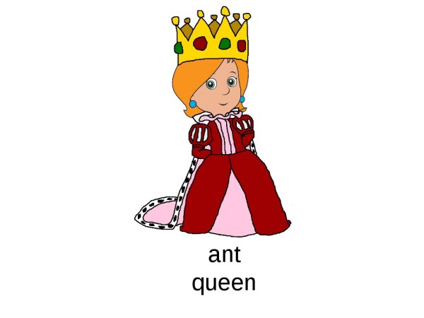 Раскраска Королева