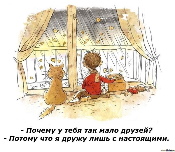 Шутки про уют