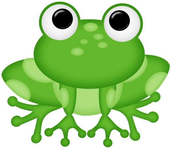 Лягушка для детей