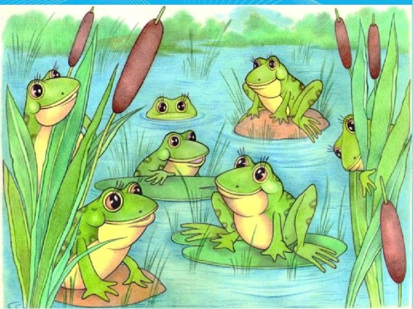 Лягушка в камышах