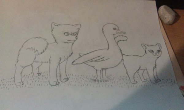 Каштанка рисунок