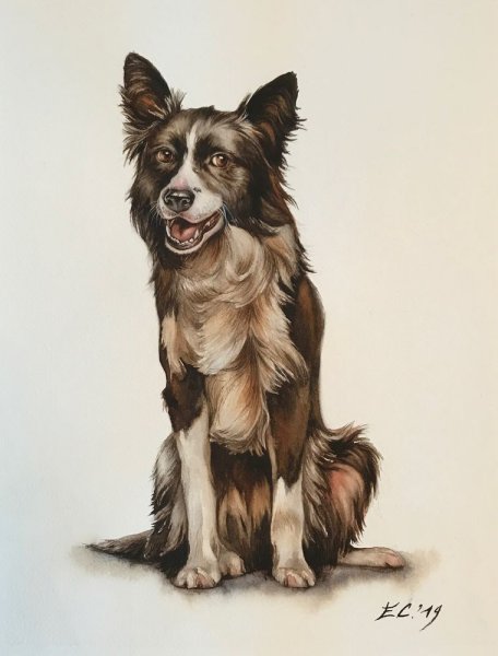 Собачка "каштанка"