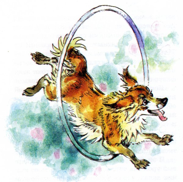 А П Чехов каштанка иллюстрации