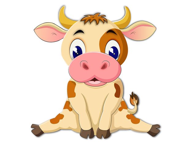 Теленок на белом фоне