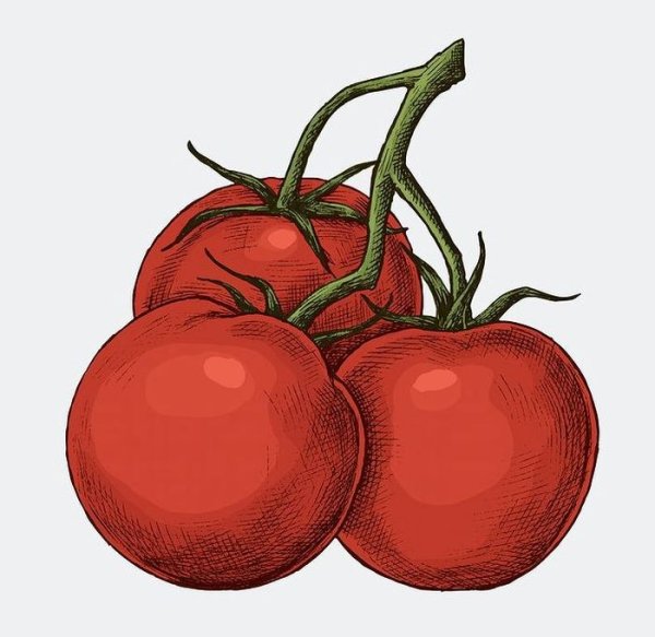 Нарисовать томат