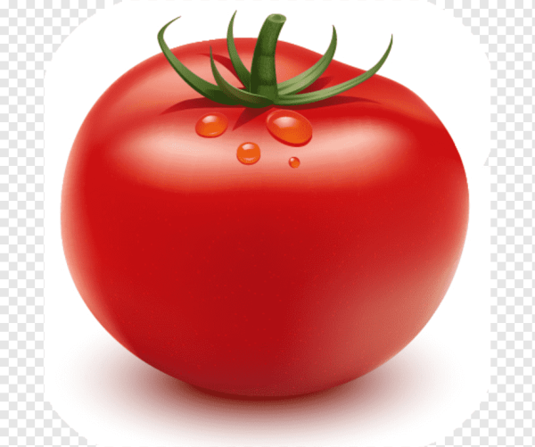 Томат для срисовки