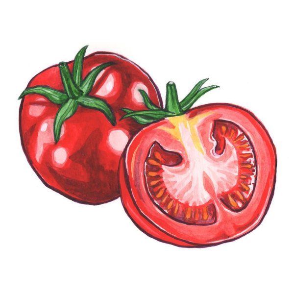 Помидор раскраска