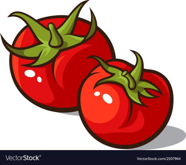 Томат детский рисунок