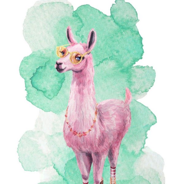 Раскраска лама