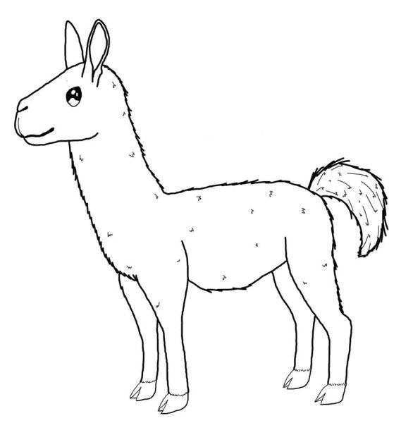 Лама раскраска для детей