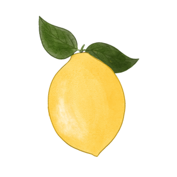 Лимон для срисовки