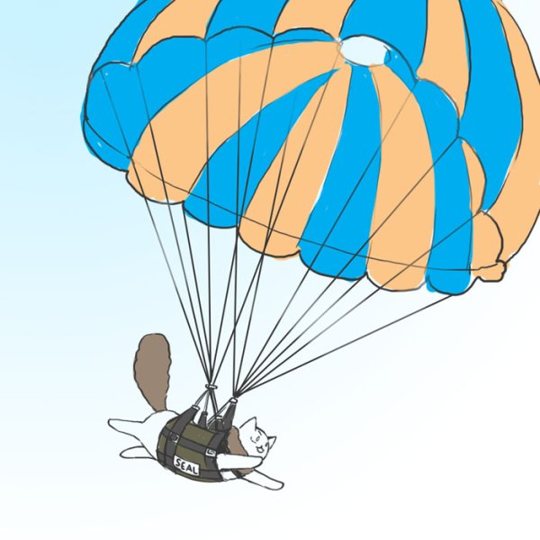 Кот на парашюте