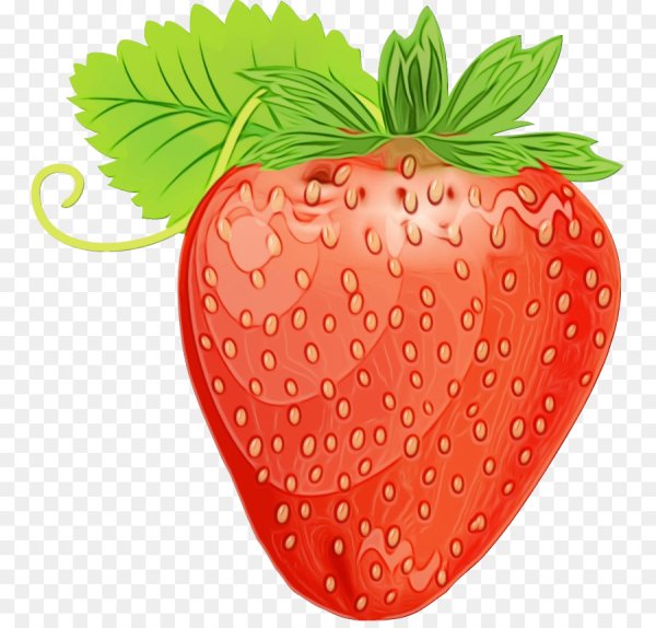 Ягода земляника