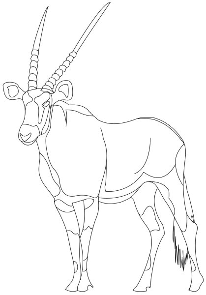 Антилопа гну раскраска