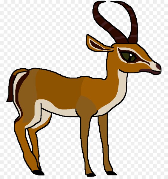 Антилопа раскраска для детей