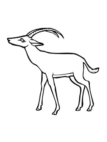 Антилопа раскраска