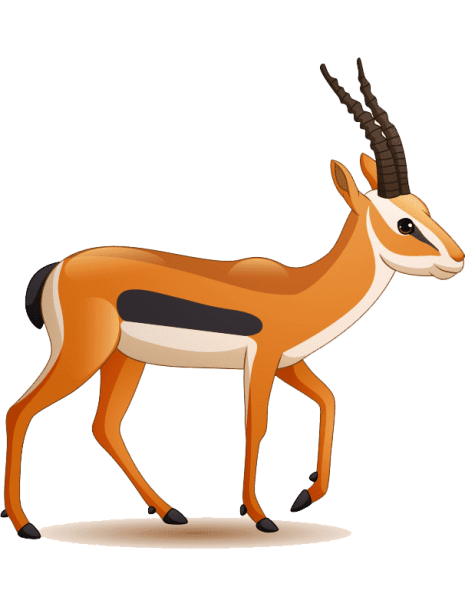 Антилопа раскраска
