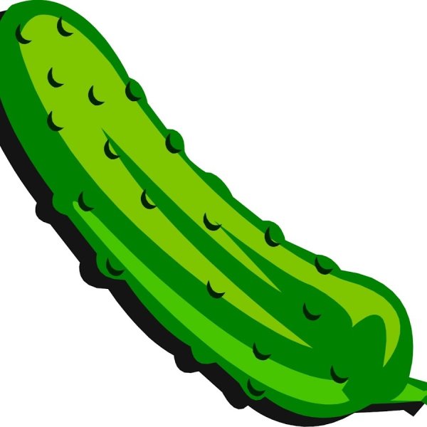 Огурец вектор