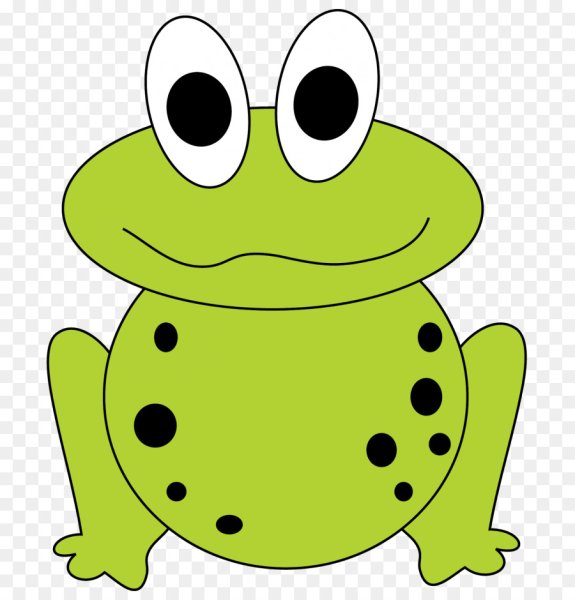 Жаба для рисования