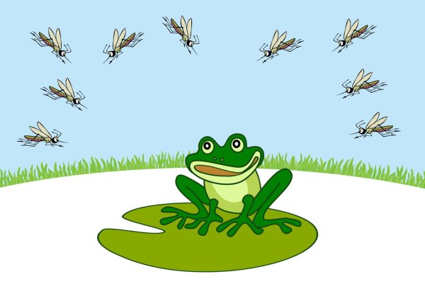 Лягушка рисунок детский