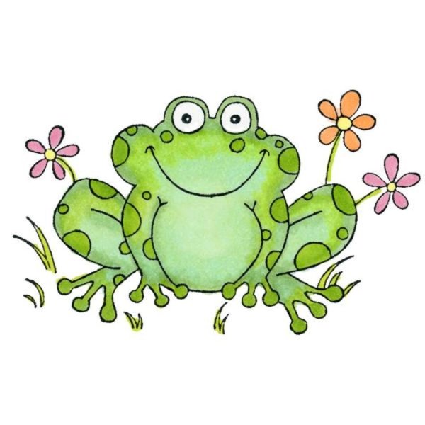 Морда лягушки