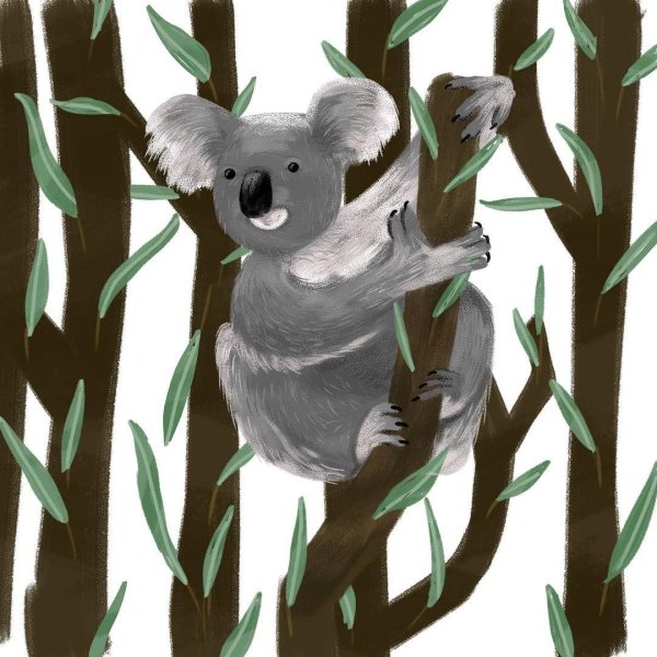 Рисование коала для детей