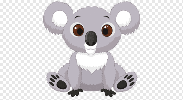 Koala для детей
